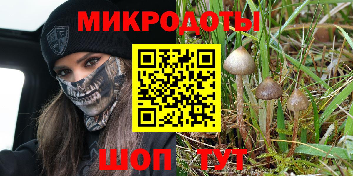 Дубна  Псилоцибиновые грибы прущие грибы  Вход с VPN 