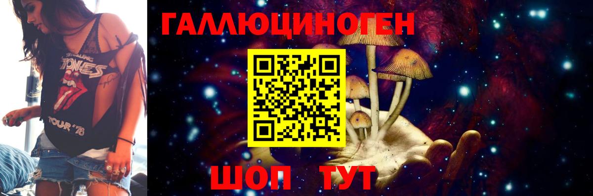 Галлюциногенные грибы Psilocybe Дубна